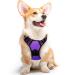 Eagloo dog harness medium -sized dogs anti -train dog harnesses with reflex strips and control adjustable adjustable and durable breast harness dog suitable for walking and jogging purple m m (1 Pack) purple