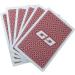 VISIONU Braille Playing Cards - Accessible Fun for Blind Players | International Shipping Available - Buy Online on GoSupps.com