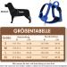 Eyin Adjustable Dog Harness for Small Dogs - Breathable Reflective Padded with Handle - Ideal for Daily Training (Light Blue Size S) - Buy Online on GoSupps.com