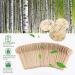 100 Pcs Wooden Spoons Disposable Tableware Biodegradable Wooden Spoon Ideal for Ice Cream Tea Spoon Coffee Dessert Tableware - Buy Online on GoSupps.com