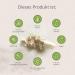 Organic Psyllium Husk Capsules - 240 Count - High Dose 3600 mg - Vegan & Additive-Free - Indian Flea Seed Shells for Natural Digestive Health - Buy Online on GoSupps.com