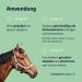Horse Care24 Mold Shampoo for Horses 500ml | Gentle & Effective Anti-Yellowing Formula | Intensive Cleaning & Fur Care - Buy Online on GoSupps.com