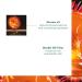 Ren Furterer - SOLAIRE - Protective Summer Fluid - Hair Sun Protection - 100ml - Buy Online on GoSupps.com