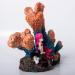 Buy TAOMYPETS Coral Decor for Aquariums Realistic Resin Coral Reef Ornaments | Enhance Your Fish Tank with Stunning Aquarium Decorations - Buy Online on GoSupps.com