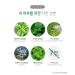 Mint Pore Korean Face Wash Cleansing Foam - Acne Prone Skin Facial Cleanser 130g | Kwailnara - Buy Online on GoSupps.com