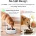 Petace Non Spill Dog Water Bowl 1.3 L - Splash Proof, Non Slip Puppy Bowl - Buy Online on GoSupps.com