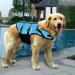 Dog Life Jacket - XS Blue Bones Swimming Safety Vest for Small & Big Dogs with Handle - Buy Online on GoSupps.com