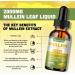 Buy Mullein Drops for Lungs - Immune Support Herbal Tincture 2 fl oz | Detox & Respiratory Health Supplement - Buy Online on GoSupps.com