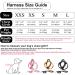 Suredoo XS Pink Dog Harness with Leash - Reflective Anti-Train Chest Harness for Small Dogs Puppies & Cats - Buy Online on GoSupps.com