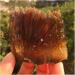 Gemstones and Crystals 50-400g Natural Yellow Amber Calcite Raw Stone Crystal Gem Collection of Rough Rock Specimens Home Decor QINTINYIN Stone Mineral Specimen (Color : 170-200g) - Buy Online on GoSupps.com