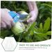 VANZACK Gardening Tools 3pcs Vegetable Fruit Ginseng Cucumber Adorable Forming Melon Gourd Garden Tools Transparent 9x8cm - Buy Online on GoSupps.com