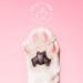 Bior Rose Quartz + Charcoal Facial Cleansing Bar - Oil Free Daily Face Wash | Dermatologist Tested | Non-Comedogenic | Cruelty Free & Vegan Friendly - Buy Online on GoSupps.com