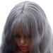 FVCENT 27-Inch Long Curly Gray Synthetic Wig with Bangs for Women & Girls - Charming & Stylish - Buy Online on GoSupps.com