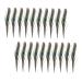 Lurrose 50pcs Peacock Tail Eye s Peacock s Peacock Tail s Peacock Eye s Crafts Natural
