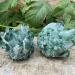 Specimen Healed 300-1000g Natural Green Ghost Quartz Crystal Cluster Crystals raw Gemstone Specimen for Home&Office Decoration fengshui As a Gift (Size : 320-400) - Buy Online on GoSupps.com