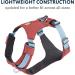 Ruffwear Hi & Light Dog Harness - No Pull Fully Adjustable Lightweight for Small to XL Dogs - Salmon Pink (XS 43-56cm) - Buy Online on GoSupps.com