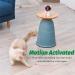 AUKL Motion Activated Cat Laser Toy for Indoor Pets - Interactive and Engaging Entertainment for Cats and Dogs - Buy Online on GoSupps.com