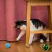 QUOZUO 32-Piece Cat Toy Variety Pack - Best Cat Toys for Kittens & Cats | International Shipping Available - Buy Online on GoSupps.com