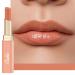 Oulac 2 in1 lipstick and lip balm juicy and shiny lip care lipstick smooth and hydrated lips shiny finish for dry cracked and brittle lips vegan (05) Nude Peach (05)