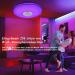 Milfech 36W Dimmable LED Ceiling Lamp with Bluetooth Speaker & Remote Control - RGB Color Change for Bedroom Children's Room & Living Room - Buy Online on GoSupps.com