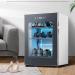 Smart Drying Shoes Cabinet Shoe Dryer Sterilization and Deodorization Drying Care Machine Internal Circulation Hot Air PTC Heating for Shoes Boot Socks - Buy Online on GoSupps.com