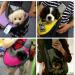 BIGWING Transport Bag for Dogs & Cats - Stylish Shoulder Carrier for Small Pets - Durable Linen Pet Tote in Blue - Buy Online on GoSupps.com