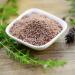 Psyllium Shells Bio 500g | Organic Fiber Supplement for Baking & Cooking | Ayurvedic Quality | Achterhof Premium Pack - Buy Online on GoSupps.com
