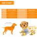 URATOT 5-Piece Puppy Dog Pajamas Jumpsuit Set - Medium | Cute Pet Rompers for Dogs & Cats in 5 Adorable Styles - Buy Online on GoSupps.com
