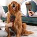 Pet Brush Vacuum Groomer Attachment - Shedding Deshedding Tool for Dogs and Cats | Hair Remover & Grooming Comb | Undercoat Removal | Extension Hose Adapters Included - Buy Online on GoSupps.com