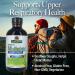 Nature's Answer Mullein-X Cough Syrup 4oz | Soothes Coughs & Clears Mucus | Respiratory Support | Non GMO & Gluten Free - Buy Online on GoSupps.com