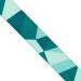 Now House for Pets by Jonathan Adler Dog Leash - Fashionable Chromatic Standard Lead for Dogs - Buy Online on GoSupps.com