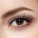 KISS Blowout Lash Collection - 4 Pairs Reusable Eyelashes with Glue | Pompadour Style | International Shipping  - Buy Online on GoSupps.com