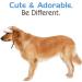 Shop Pawaboo Dog Baseball Cap - Adjustable Sun Protection Hat with Ear Holes for Pets | Floral Violet XL - Buy Online on GoSupps.com