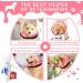 Inflatable Dog Donut Cone Collar for Post-Surgery Recovery - Protective Pet Neck Collar Alternative - Prevent Biting and Scratching - Pink - Size S Neck 5-8 - Buy Online on GoSupps.com