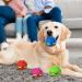 GUYAQ Pet Toy Flying Saucer Ball New Flying Saucer Ball Dog Toy Pet Flying Saucer Ball Flying Saucer Dog Toy Suitable for Cats and Dogs (Ordinary Model Blue) Ordinary Model Blue - Buy Online on GoSupps.com