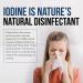 Nasomin Nasal Iodine Antiseptic - Germ Defense for Nose - Iodine + Fulvic Acid - 150+ Uses - Buy Online on GoSupps.com