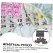 30-Piece Multi-Use Set: Washable Diaper Inserts Women's Briefs & Outletsafe Bandages - Buy Online on GoSupps.com