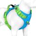 Phoepet no pull dog harness reflective dog vest with a soft training handle for small medium -sized and large dogs (blue base and green straps XL) blue base and green carrier XL