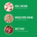 IAMS PROACTIVE HEALTH Dog Food Dry Minichunks Adult Chicken & Whole Grains Recipe 1.50kg Bag 1.5 kg (Pack of 1) Mini Chunks - Buy Online on GoSupps.com