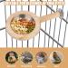 Buy New Bird Bench with Feed Cup | Solid Bird Cage Accessories for Parrots & Birds - Buy Online on GoSupps.com