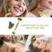 Jade Roller and Gua Sha Kit NEESTARTLY Anti-aging Natural Facial Jade Stone Roller Set - Face Massager Facial Roller for Face Skin Eyes Neck Leg - Buy Online on GoSupps.com