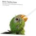 PopetPop 9-Piece Baby Probe Feeding Kit for Birds - Reusable Syringe & Hose Accessories for Easy Feeding | International Shipping - Buy Online on GoSupps.com