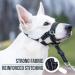 Goodboy Dog Halver with Service Belt - Padded Leash Halter for All Dog Sizes - Stops Pulling & Includes Training Instructions - Size 2 - Black - Buy Online on GoSupps.com