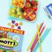 Mott's Fruit Flavored Snacks Animals Assorted Fruit - Gluten Free (40 ct) - Buy Online on GoSupps.com