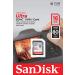 SanDisk Ultra 16GB Class 10 SDHC Memory Card - 80MB/s Speed - Buy Online on GoSupps.com