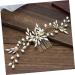 DOITOOL Combs Hair Pin Hair Clip Bridal Headdress Women Hairpin Hair Jewels for Women Wedding Headpiece Bride Insert Comb Bridal Hair Comb Hair Accessories Headgear Pearl Miss - Buy Online on GoSupps.com
