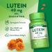 Nature's Truth Lutein and Zeaxanthin Supplement | 40mg | 30 Softgels | Non-GMO & Gluten Free - Buy Online on GoSupps.com