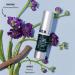 Dark Circle Eye Cream with Bakuchiol & Licorice | Brightening Puffiness & Fine Lines | Gentle for All Skin Types | 0.5 Oz - Buy Online on GoSupps.com