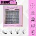 40D False Eyelashes - 240 Pieces Natural Black Individual Lash Extensions | Reusable Wispy & Natural Look (8-16mm Mix - Buy Online on GoSupps.com