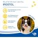 Nutrilabs IROSTOL Pellets for Dogs 150g | Dietary Supplements with MSM Biotin & Omega Fatty Acids | Essential Vitamins & Minerals for Dogs - Buy Online on GoSupps.com